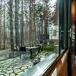 Forest House Vi Vila *
