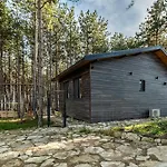 Forest House Vi Vila Varna