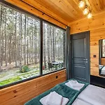 Forest House Vi Vila
