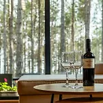 Vila Forest House Vi Varna