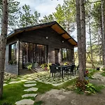Forest House Vi Vila