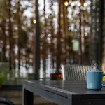 Vila Forest House Vi *