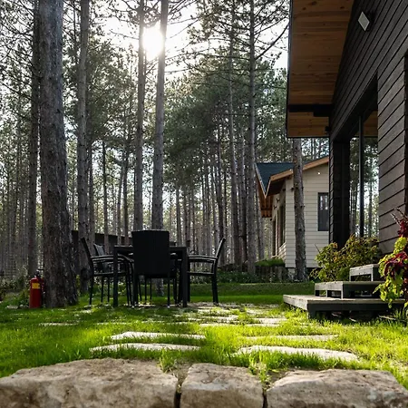 Forest House Vi Vila