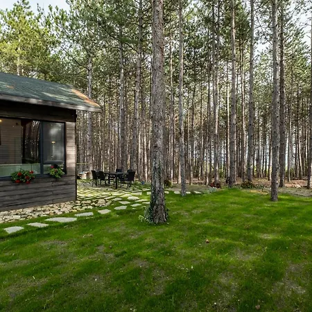 Forest House Vi Vila Varna