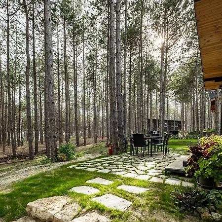 Forest House Vi *