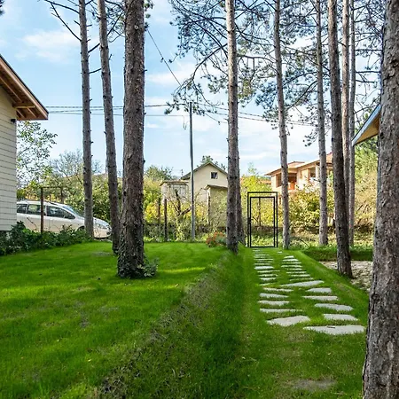 Forest House Vi * Varna