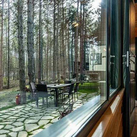 Forest House Vi Vila *