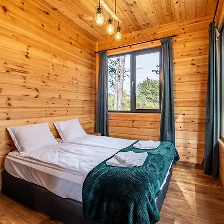 Vila Forest House Vi Varna