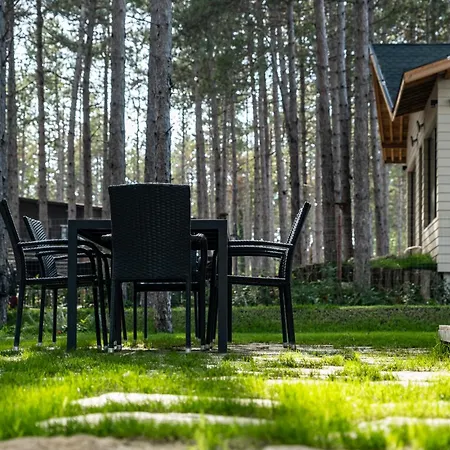 Forest House Vi *