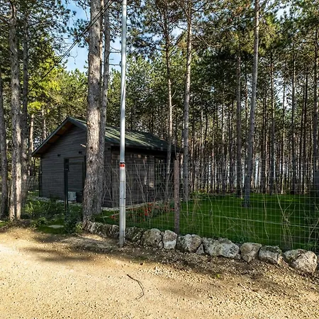 Forest House Vi Varna