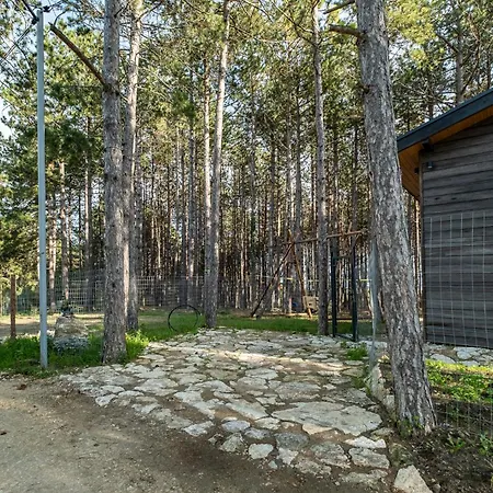 Forest House Vi