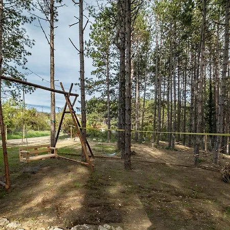 Forest House Vi Villa *