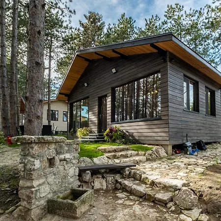 Forest House Vi Villa Varna