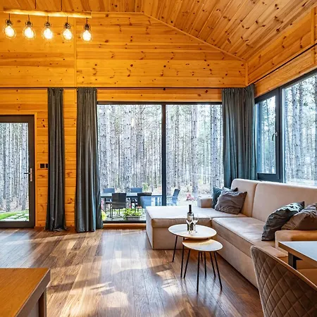 Forest House Vi Vila