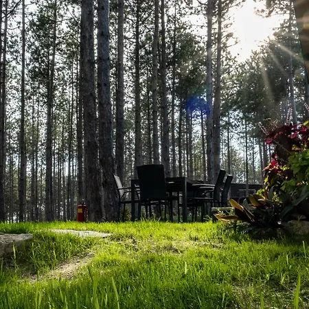 Vila Forest House Vi