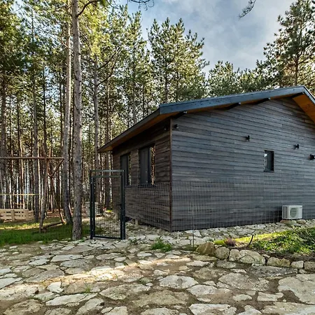 Forest House Vi Vila Varna