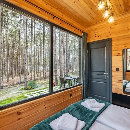Forest House Vi Vila