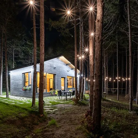 Vila Forest House Vi *