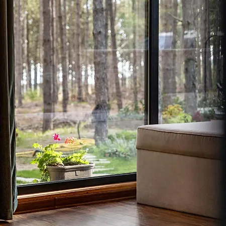 Vila Forest House Vi