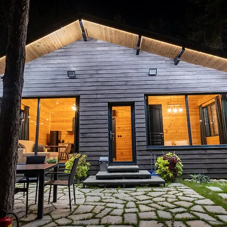 Vila Forest House Vi *