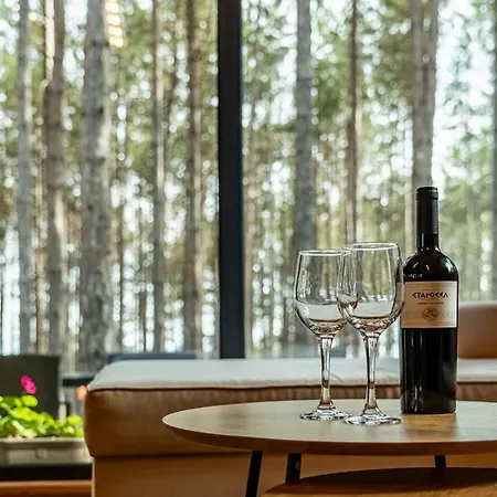 Vila Forest House Vi Varna