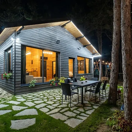 Forest House Vi