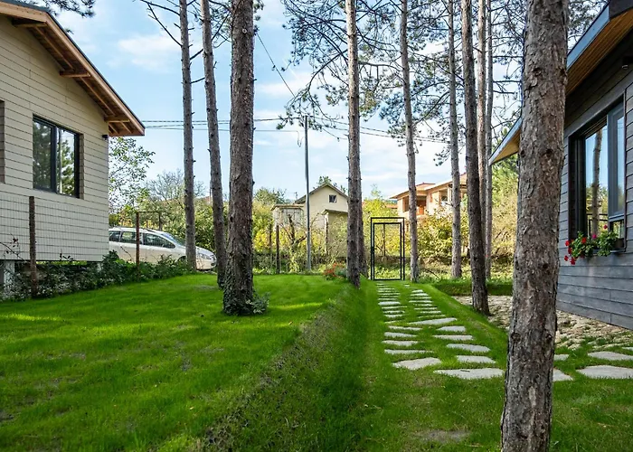 Forest House Vi * Varna