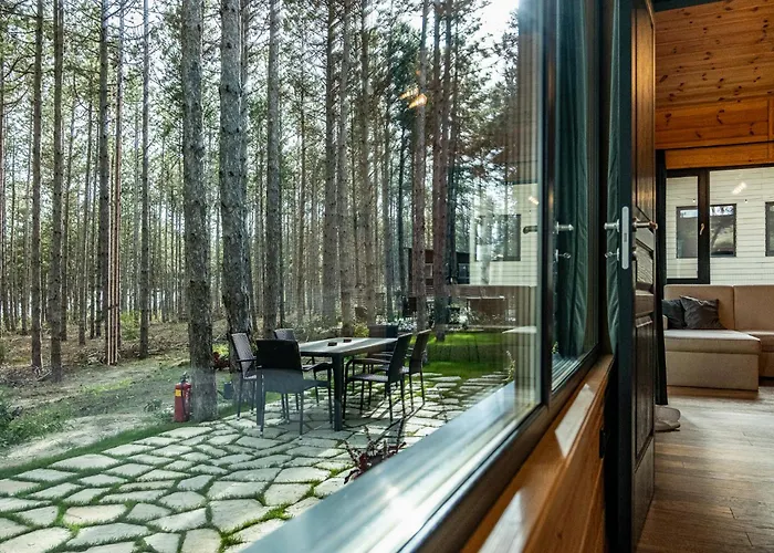 Forest House Vi Villa *