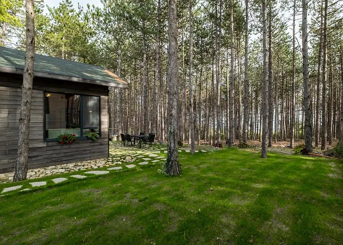 Forest House Vi Villa Varna