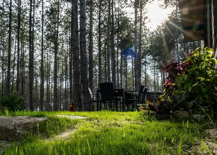 Villa Forest House Vi