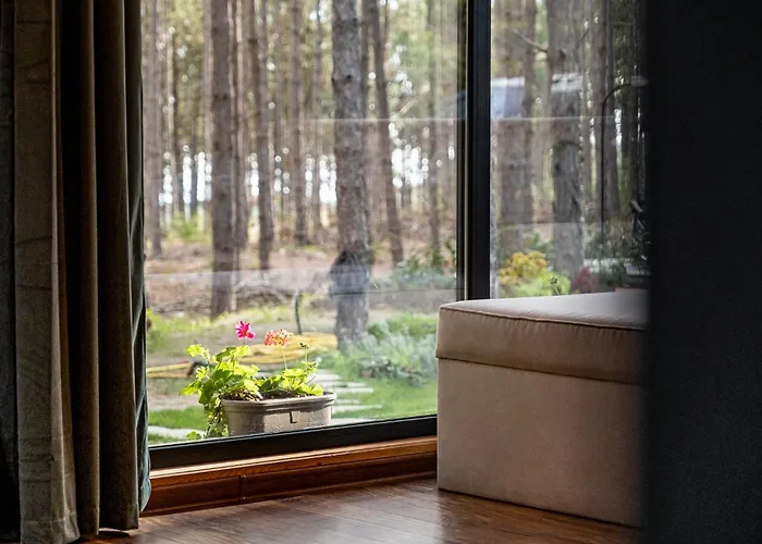 Villa Forest House Vi